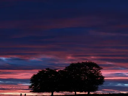 Binaural Beat For Sleep With 432 Hz