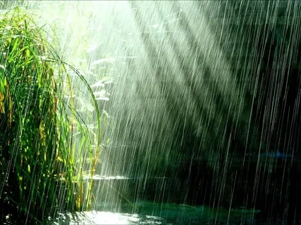 Renewal - Binaural Beat Meditation