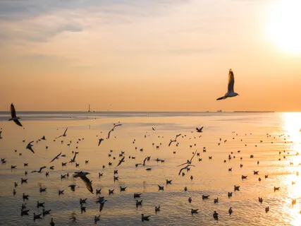 Binaural Beat Trip To Gamma (Extended)