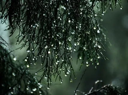 Binaural Beats - Alpha | Rain | Flow State