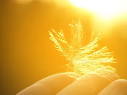 Binaural Beats Delta (4Hz)