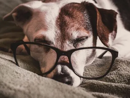 Binaural Beats: Delta Brain Waves - Dusk To Dreamland