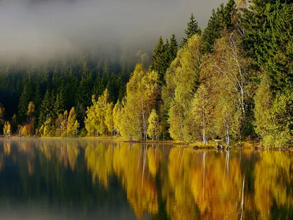 Binaural Beats Meditation Music - 24Hz Sudden Prosperity Attraction