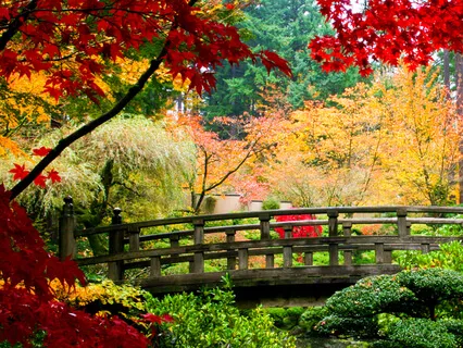 Binaural Beats Meditation Music - Attract Abundance