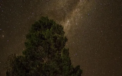 Binaural Beats + Peaceful Sleep Music