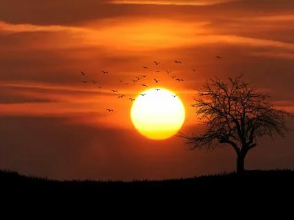 Binaural Delta 4.5Hz Deep Spring Sleep