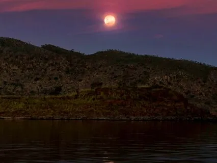 Binaural Delta 4 Hz Deep Sleep Moonlight Dreams