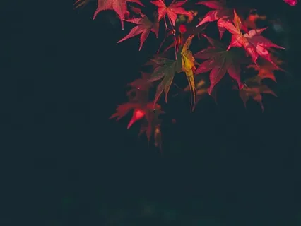 Binaural Delta Deep Relaxation With Wind Chimes And Nature Sounds