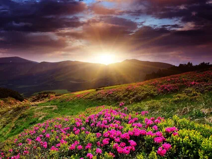 Binaural Delta Sun Healing