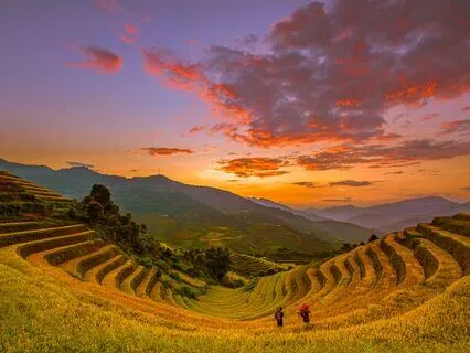 Binaural Harmony | Deep Sleep