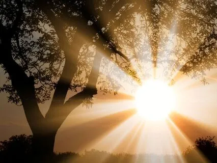 Binaural Healing Code