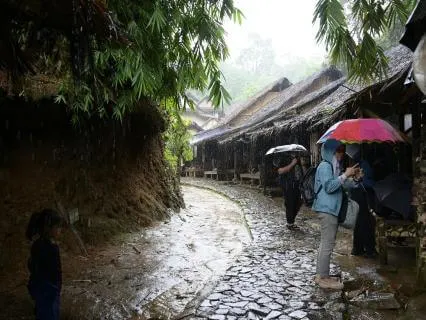 Binaural Music & Shelter In The Rain  (Nature)