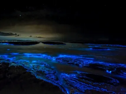 Binaural Oceanic Voyage Into Sleep