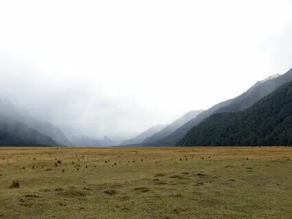 Binaural Sleep Induction 2024