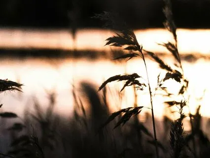 Binaural Sleep Induction: Deep Sleep In 20 Minutes