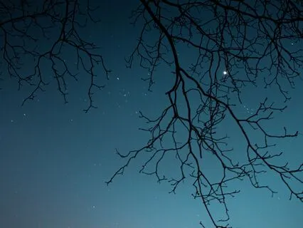 Binaural Sleep Journey With Calming Ocean Waves