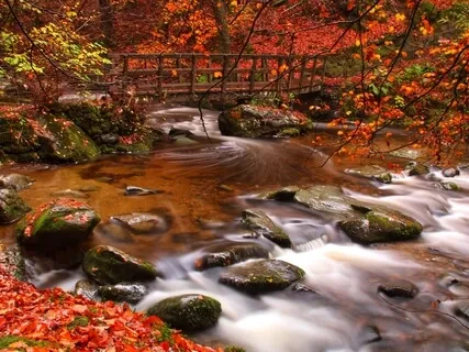 Binaural Slow Motion Abyss - Piano Sleep