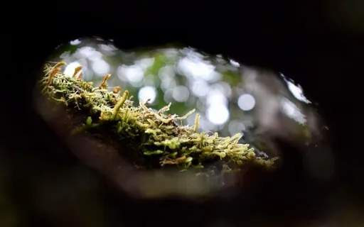 Binaural Solfeggio Sound Journey For Relaxation And Sleep