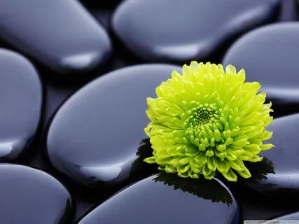 Binaural Theta Life Force