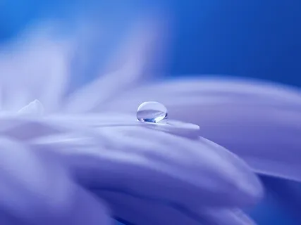 Binaurale Klangwelt | Binaural Journey