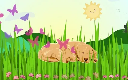 Bingo - A Very Sleepy Dog Takes A Nap In Very Soft Grass 