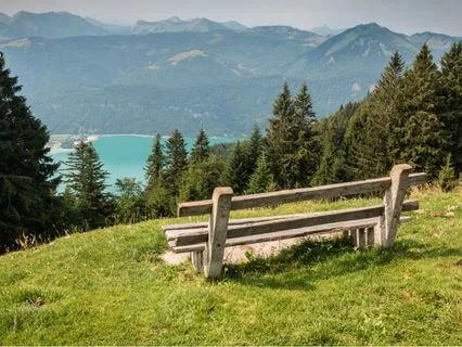 Bird Facts That Make You Fall Asleep