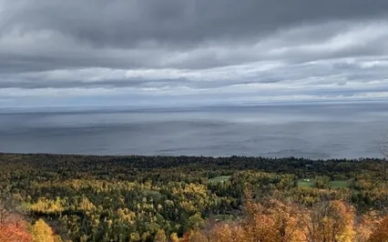 Bird Flight Meditation 