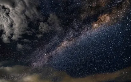 Bird Music - Embrace Sign