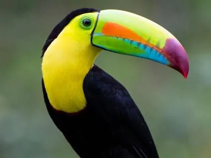 Bird's-Eye View For Anxiety & Stress