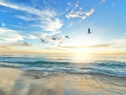 Deep Meditation | Singing Bowls And Birds