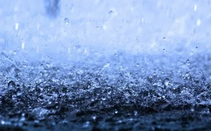 Birds And Rain In A Big City