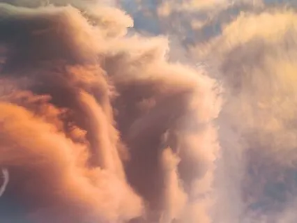 Birds Guitar Healing– Let Go & Release Your Emotions