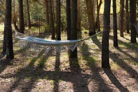 Birds Singing In A Latvia Forest: White Noise