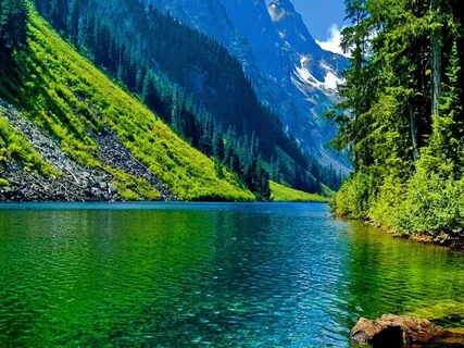 Birdsong By The River