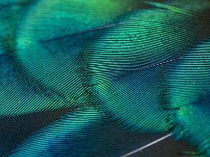 Soft & Soothing Sleep Music With Birdsong