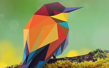 Birdwatching With Mrs. Honeybee