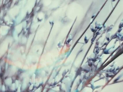 Bite-Sized Meditation: Aimlessness