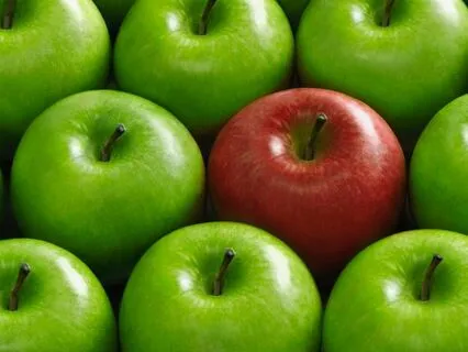 Bite-Sized Meditation: Comparison