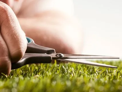 Bite-Sized Meditation: Perfectionism