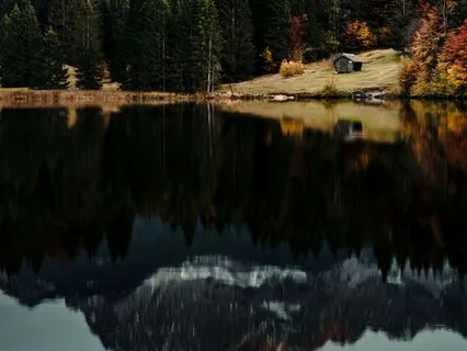 Bite-sized Meditation: Stillness