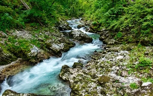 Black Creek Canyon River Sleep Soundscape