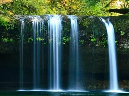 Black Forest Waterfall