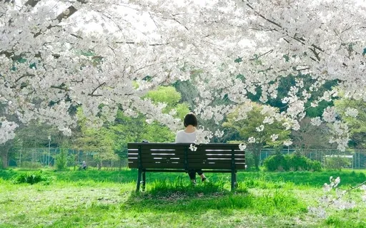 Black Obsidian Healing Bench Meditation