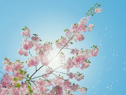 Black Tara Mantra For Health And Happiness 