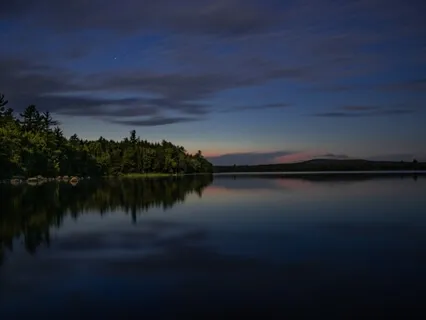 Black Tara, The Mother Liberator