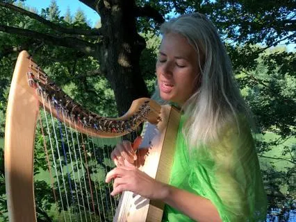 Blackbird Soundscape With Healing Harp Melodies