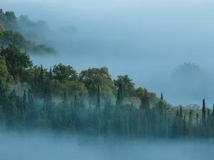 Blackboxx - A Haunting (Macondo)