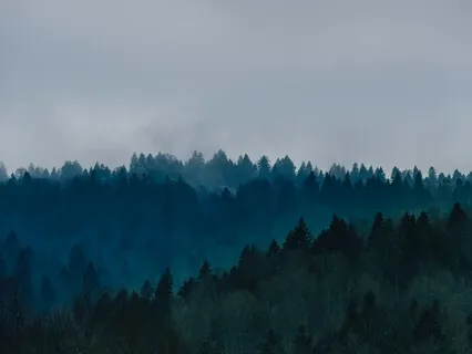 Blackboxx - Elsewhere