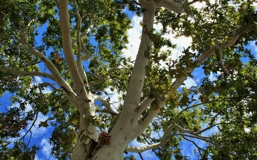 Благословение в Месте Силы