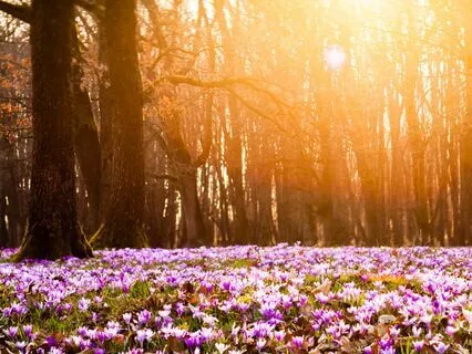 Soothe And Comfort Yourself